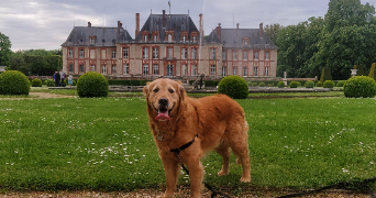 maeva pet sitter à LES ESSARTS LE ROI 78690_2
