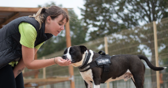 fanny pet sitter à CESSON SEVIGNE 35510_1