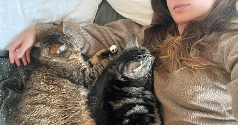 charlotte cat sitter à LYON 03 69003_2