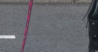 nesrine pet sitter à AUBIERE 63170