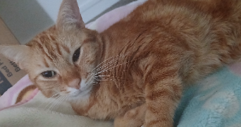 edith pet sitter à Clichy 92110_5