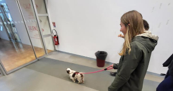 lou pet sitter à ANGERS 49000_3