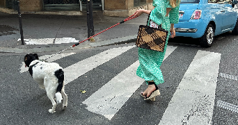 hanna pet sitter à PARIS 17 75017_6