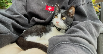 tiphaine pet sitter à GRANVILLE 50400_2