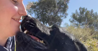 victoire pet sitter à ST GEORGES D ORQUES 34680_4