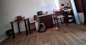 clara pet sitter à BOULOGNE BILLANCOURT 92100_1
