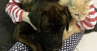 jeanne pet sitter à AMIENS 80000_3