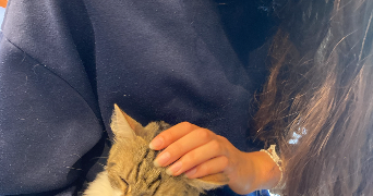 lisa pet sitter à DIEPPE 76200_1