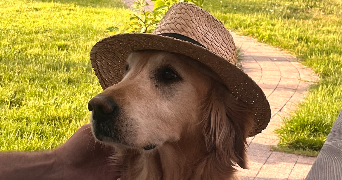 léna  pet sitter à ROUFFACH 68250_5