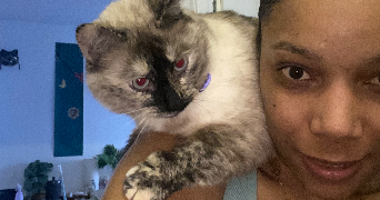 laika pet sitter à TOULOUSE 31000_5