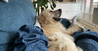 mathilde pet sitter à GRENOBLE 38100_8