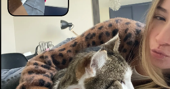 clara pet sitter à BORDEAUX 33800_0