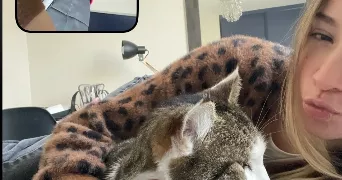 clara pet sitter à BORDEAUX 33800