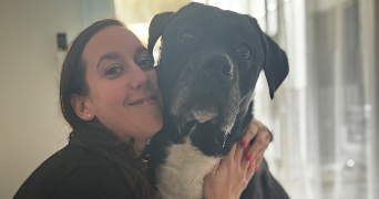 abby pet sitter à MONTPELLIER 34000_0