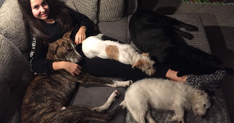 inès pet sitter à Strasbourg 67200_0