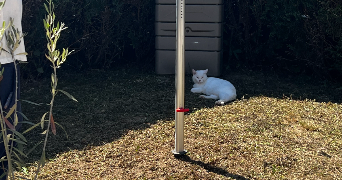 eva pet sitter à BOUCHAIN 59111_7