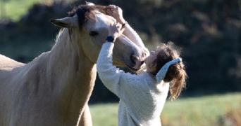 marie pet sitter à DOMPIERRE SUR YON 85170_0