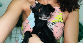 vanessa pet sitter à MERIGNAC 33700_8
