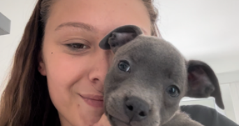 nohea pet sitter à TEMPLEUVE EN PEVELE 59242_2