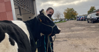 anila tola pet sitter à VILLACOURT 54290_0