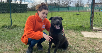 chloé pet sitter à VILLEURBANNE 69100_2
