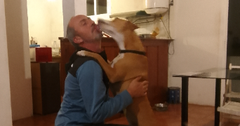 jimmy isabelle  dog sitter à MERXHEIM 68500_1