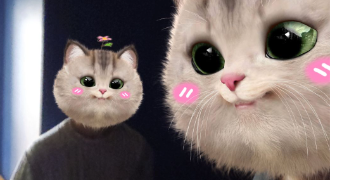 valère pet sitter à  61000