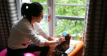 haiyin pet sitter à BOURRON MARLOTTE 77780_1