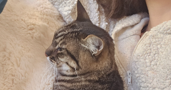 elsa pet sitter à ARTIGUES PRES BORDEAUX 33370_3