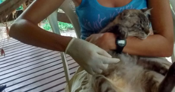 erika pet sitter à LA CIOTAT 13600_0