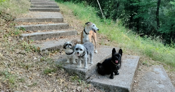 caroline pet sitter à Castagnier 06670_7