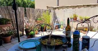 bérengère pet sitter à MONTPELLIER 34000_2