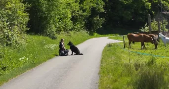 samm pet sitter à STRASBOURG 67000