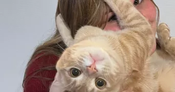 wendy pet sitter à LADON 45270