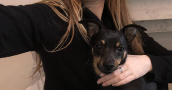 lisa pet sitter à ROSNY SOUS BOIS 93110_2
