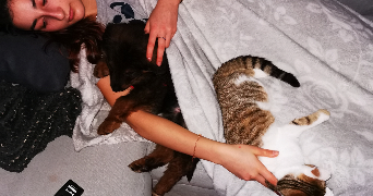 mélanie  pet sitter à HUTTENHEIM 67230_1