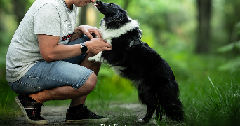 virginie dog sitter à BALLAN MIRE 37510_9