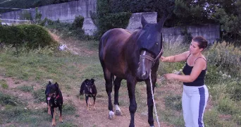 cecile pet sitter à ST ETIENNE DE FONTBELLON 07200