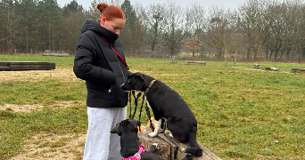 noémie pet sitter à CHAMPIGNY SUR MARNE 94500_0