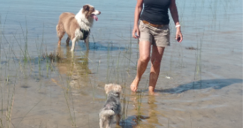 valerie pet sitter à HOURTIN 33990_3