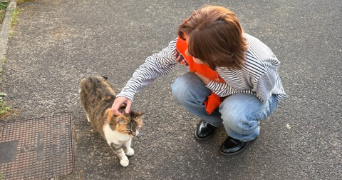 lou pet sitter à BORDEAUX 33800_1