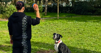 manon pet sitter à BORDEAUX 33300_2