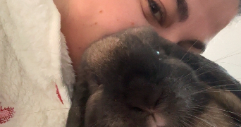 claire pet sitter à ST HERBLAIN 44800_1