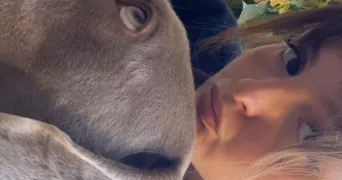garance pet sitter à TOULOUSE 31000