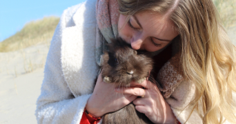 clarisse pet sitter à AMIENS 80000_1