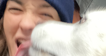 luna pet sitter à ANGLET 64600_0