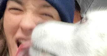 luna pet sitter à ANGLET 64600