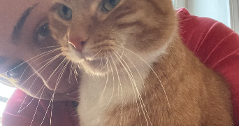 louise pet sitter à LYON 02 69002_1