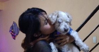 yazmin pet sitter à MONTPELLIER 34080_1