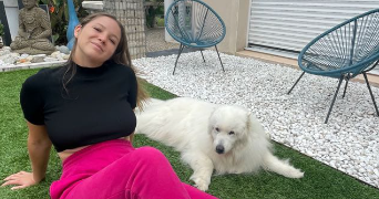 lou pet sitter à PARTHENAY 79200_5